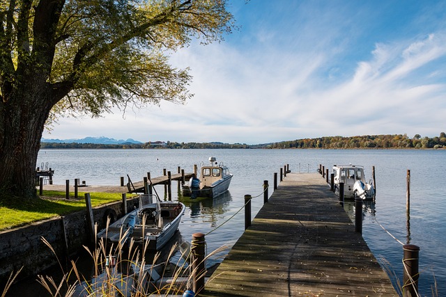 的英联杯决 的英联杯决