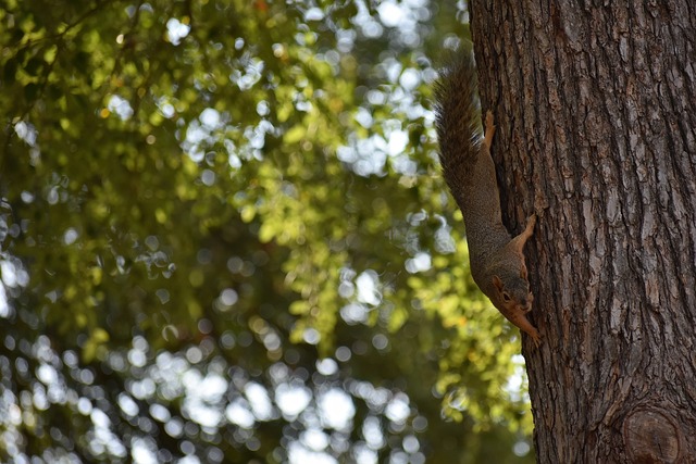 年轻球员提 年轻球员提