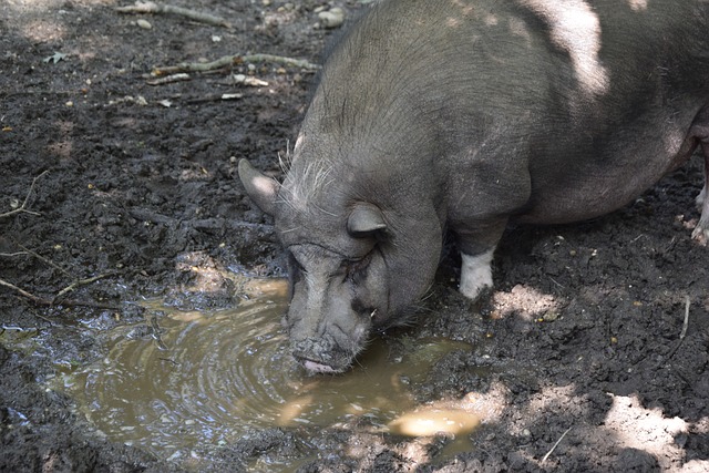 提供了坚实 提供了坚实