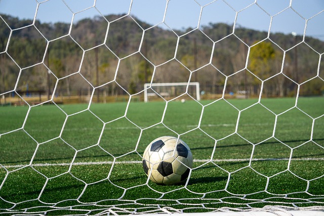 贝林厄姆 贝林厄姆