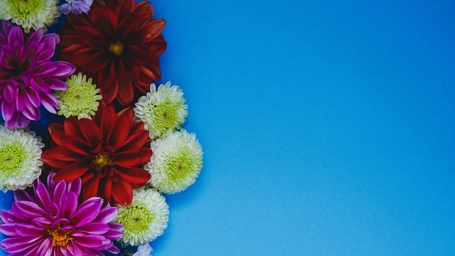 地群众的热 地群众的热