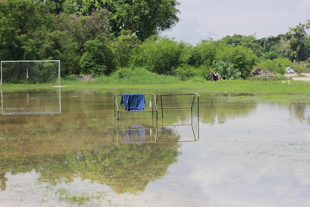 他们的发挥 他们的发挥