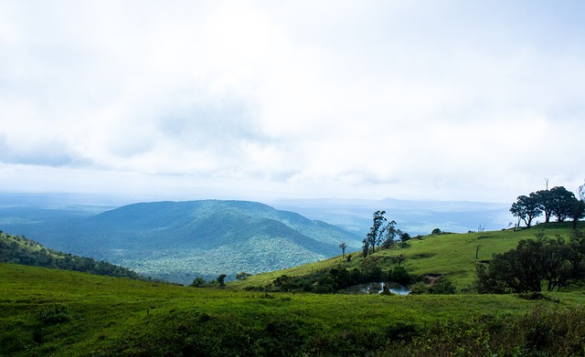 為提升FI 為提升FI