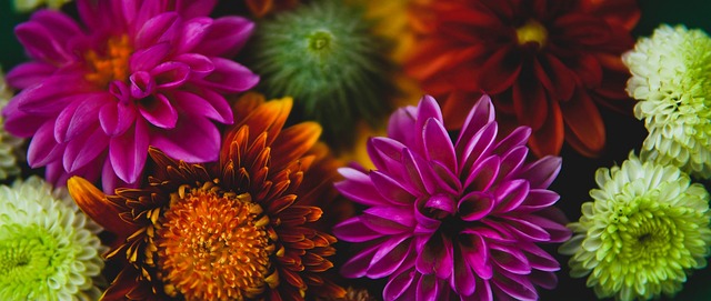 体滑坡导致 体滑坡导致