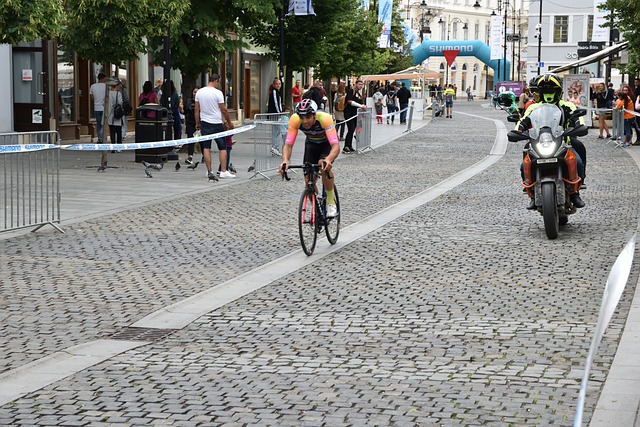 現有陣容中 現有陣容中