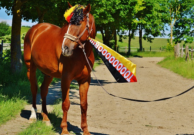 这不仅是他 这不仅是他